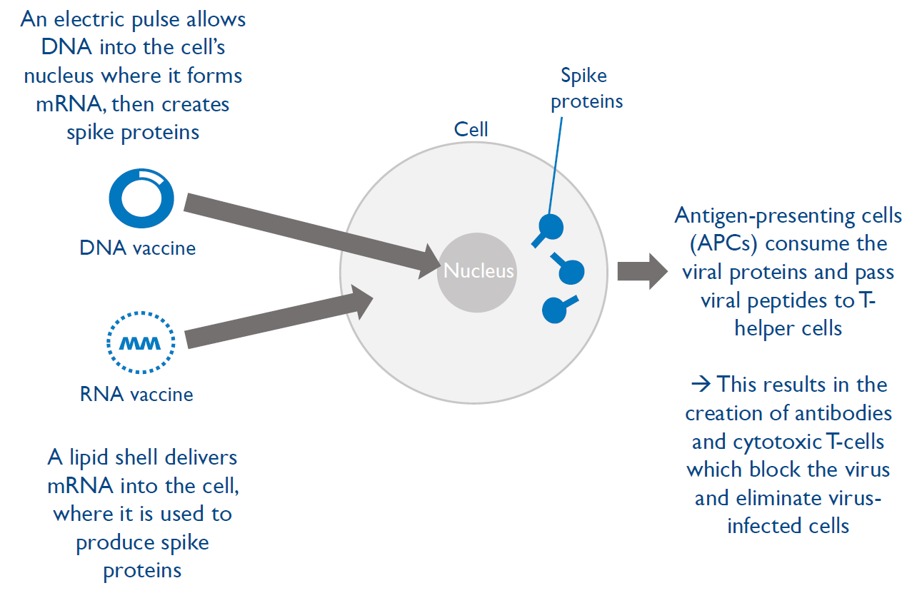 Finding the right vaccine technology